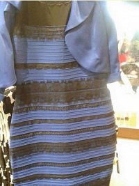 300px-TheDress.jpg